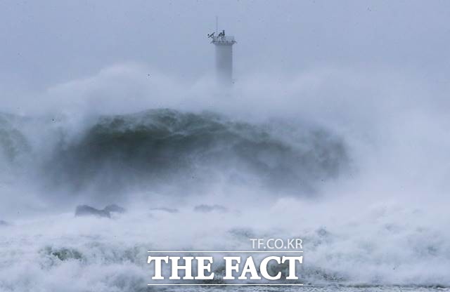 제8호 태풍 바비(BAVI)가 우리나라를 향해 북상 중인 26일 오전 제주 서귀포시 대정읍 모슬포항에 집채만 한 파도가 일고 있다. /뉴시스