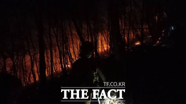 경북 경주시 안강읍 도덕산에서 24일 발생한 산불이 25일 오전 8시 10분쯤 진화됐다. /뉴시스