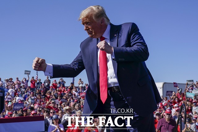 미국 민주당은 11일(현지시간) 하원에서 트럼프 대통령에게 내란 선동 혐의를 적용한 탄핵 결의안을 발의했다. /AP.뉴시스