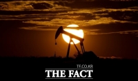  OPEC+ 추가증산 거절에도 국제유가 이틀째 급락 왜?(종합)
