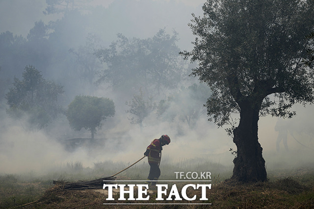 13일(현지시간) 포르투갈 중부 레이리아 인근 콜메이아스 마을에서 한 소방관이 산불을 진압하기 위해 호스를 끌고 있다. / 레이리아=AP·뉴시스