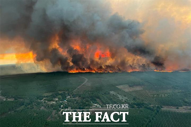 지롱드주 보르도 지역에서 발생한 산불이 사흘째 이어지고 있다. 와인으로 유명한 보르도에 연이은 화재가 발생하면서 일각에서는 2022년 보르도 와인이 연기로 오염될 가능성을 제기하며 우려를 표하고 있다. /보르도=AP.뉴시스
