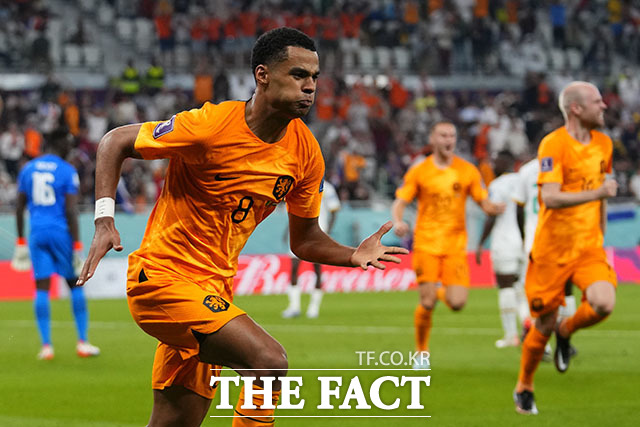 네덜란드가 22일(한국시간) 세네갈을 상대로 승리했다. 네덜란드 국가대표팀 코디 학포가 득점 후 기뻐하는 모습. /도하(카타르)=AP.뉴시스