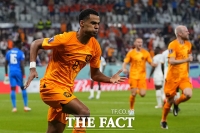  [간밤의 월드컵] 돌아온 네덜란드, 세네갈 제압…'월드컵 데뷔골' 베일
