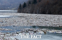  '에메랄드 호수 어디로 갔나'…쓰레기에 몸살 앓는 세르비아 [TF사진관]