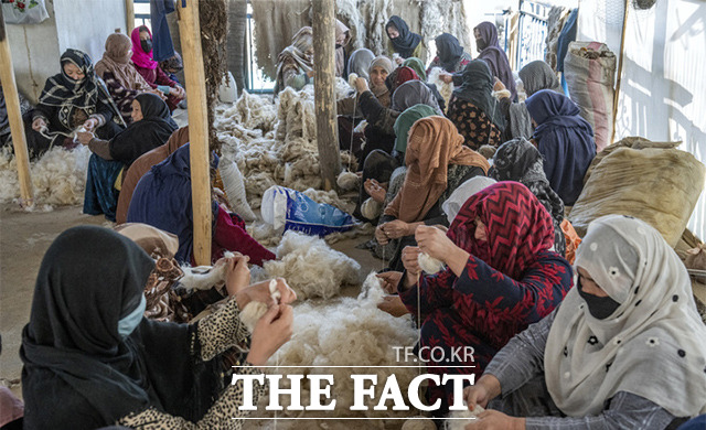 세계 여성의 날을 앞두고 6일(현지시간) 아프가니스탄 카불의 전통 카펫 공장에서 아프간 여성들이 카펫을 만들 양털을 짜고 있다. /카불=AP.뉴시스