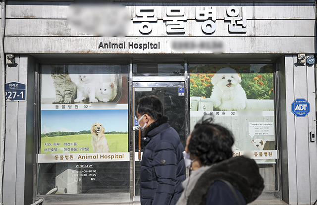 서울시내에 위치한 동물병원의 모습. /뉴시스