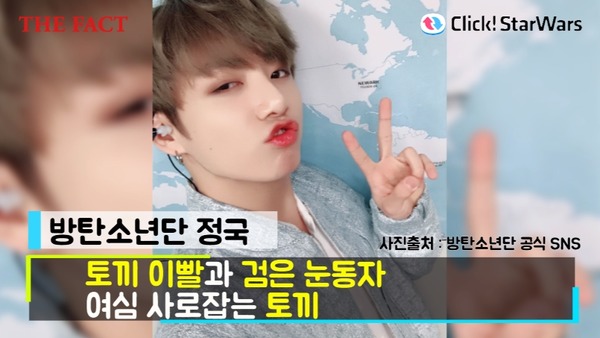 토끼상 아이돌 방탄소년단 정국. 웃을 때 토끼와 닮았다. /방탄소년단 공식 SNS