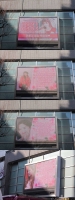  에이핑크 박초롱, 韓·中·日 '판다' 모여 빛낸 생일 전광판 
