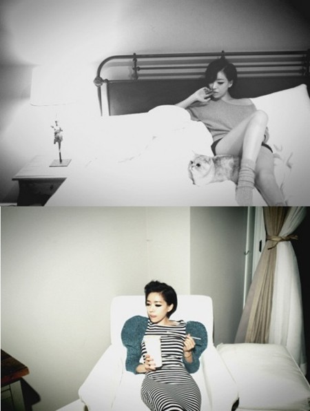 ▲고양이와 함께 한 화보를 일부 공개한 가인 /가인 미니홈피