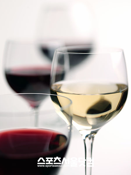 국내 주요 특급호텔들이 다양한 와인 프로모션을 선보인다.