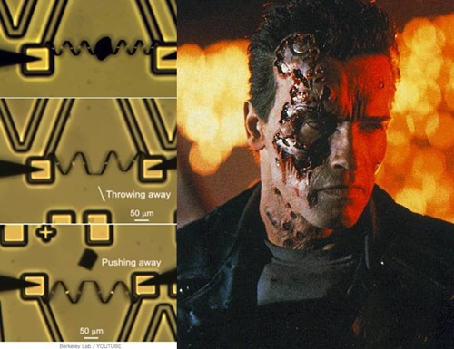 터미네이터 인공 근육이 개발돼 놀라움을 자아내고 있다. / 온라인 커뮤니티, 영화 '터미네이터' 스틸