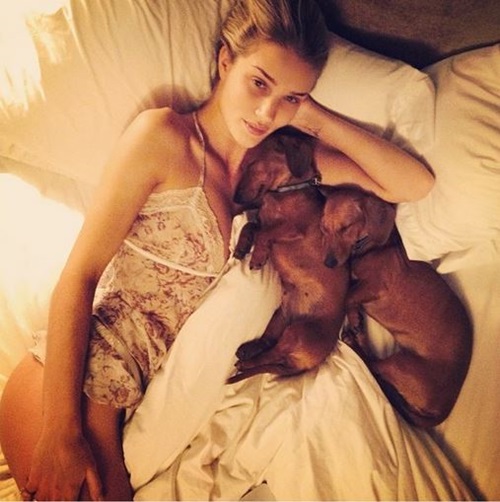 로지 헌팅턴 휘틀리가 침대에 누워 육감적인 몸매를 자랑하고 있다. / 로지 헌팅턴 휘틀리 인스타그램