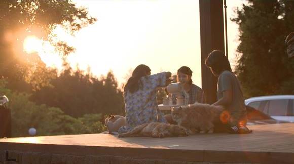 '효리네 민박' 스틸. '효리네 민박' 이효리-이상순-아이유가 손님들이 나간 사이 음악으로 소통한다. /JTBC 제공