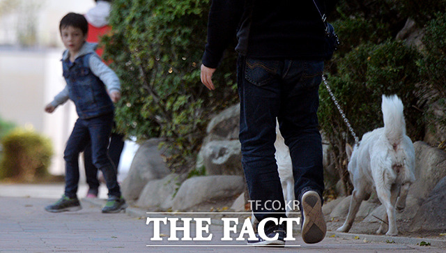 최근 불거진 '도그 포비아'와 함께 개 목줄과 개 입막개 착용 등이 사회적 이슈로 떠올랐다. /이덕인 기자