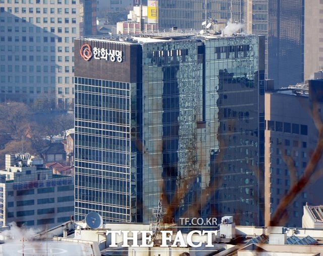 한화생명은 한화손보 지분 51.49%, 한화자산운용 지분 100%를 보유하고 있다. 당초 한화손보를 통해 지배하던 캐롯손보가 완전 자회사인 한화자산운용 아래로 들어오면서 지배력이 더욱 공고해지게 됐다. /더팩트DB