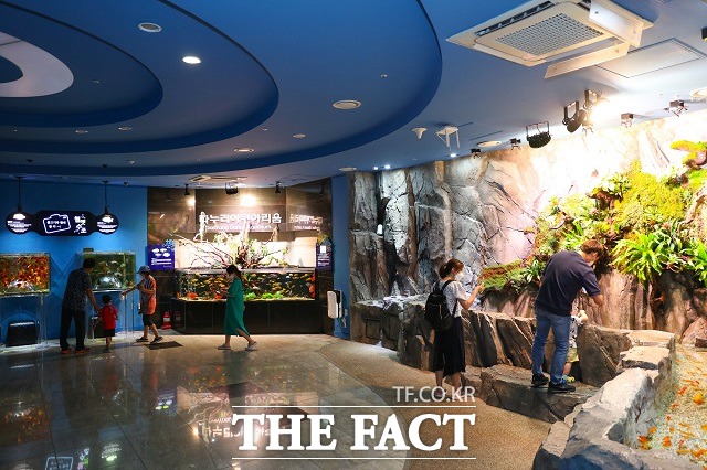 단양아쿠아리움 내부 전경. / 단양군 제공