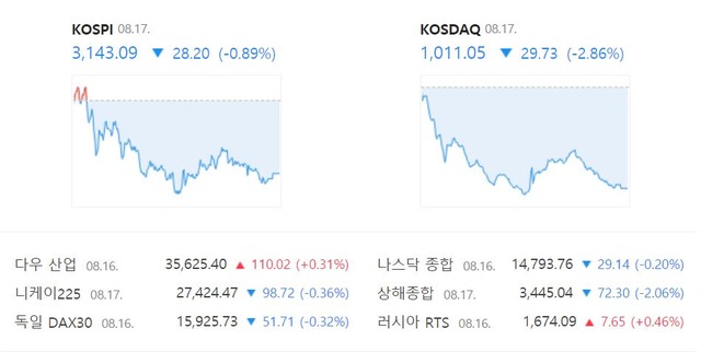 이날 코스닥 지수도 전 거래일 대비 29.73포인트(-2.86%) 하락한 1011.05를 기록했다. /네이버 캡처