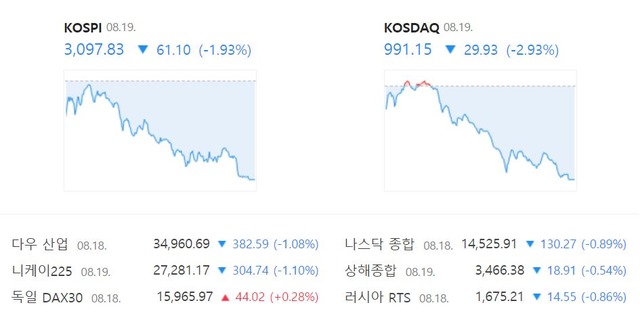 이날 코스닥 지수는 전 거래일(1021.08)보다 29.93포인트(-2.93%) 떨어진 991.15로 장을 종료했다. /네이버 캡처