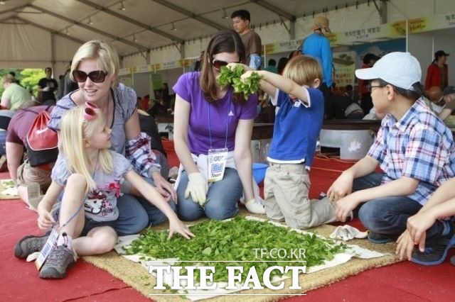 보성군은 보성세계차EXPO를 '참여와 축제형 엑스포’를 통해 ‘보성차 제2의 부흥기’를 열겠다는 계획이다. /보성군 제공