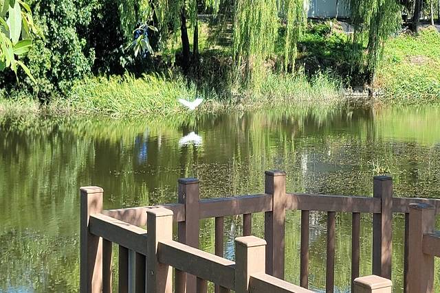 하동천은 생물 다양성이 매우 높은 천혜의 자연환경을 갖춘 지역으로 명소로 꼽히고 있다./김포시 제공