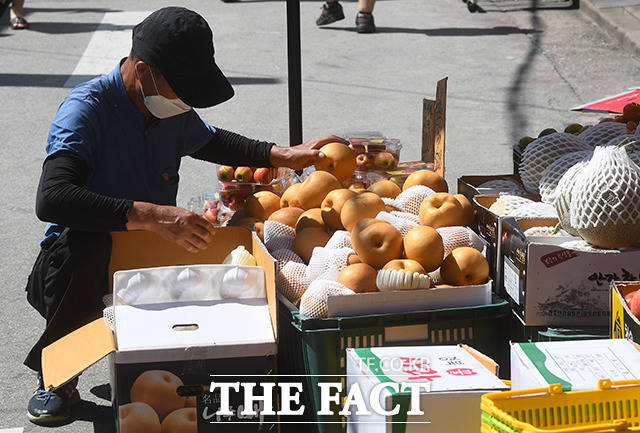 설 제수용품을 전통시장에서 구입하는 것이 대형마트보다 더 저렴한 것으로 조사됐다 /더팩트 DB