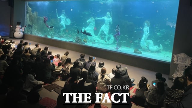 대전엑스포 아쿠아리움 / 대전관광공사 제공