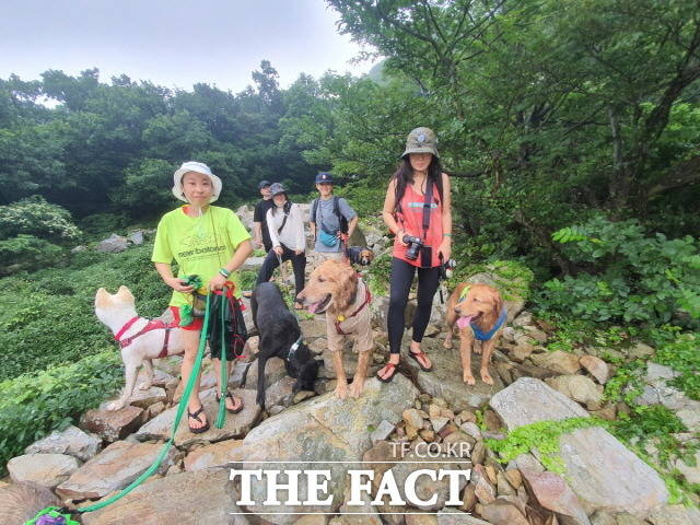땅끝황토나라테마촌 반려견 달마고도 트레킹 모습/해남군 제공