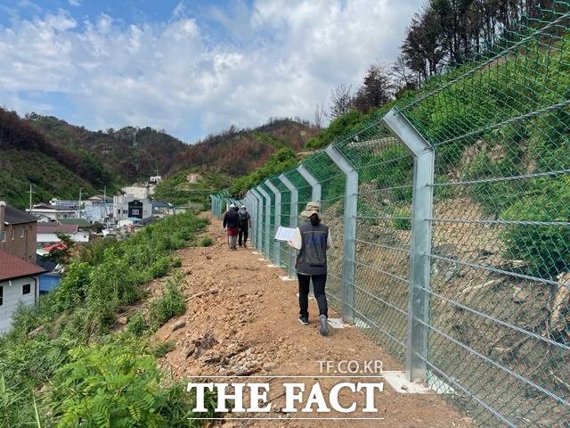 산불피해 응급복구지 점검 모습 / 산림청 제공