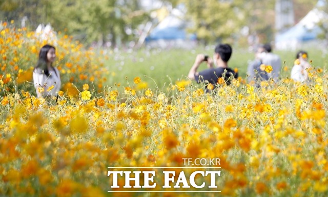 가을 주제정원, 가을 시민정원, 플라워마켓, 버스킹 공연, 선인장 미술관, 가을꽃 영화관 등 다양한 프로그램을 10일까지 만나볼 수 있다. /고양특례시 제공