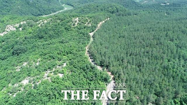 강원 고성 장기연구지의 자연복원지(왼쪽)과 조림복원지(오른쪽) 비교. / 산림청