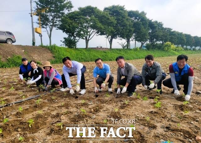 장성군은 지난 19일 한국농촌지도자회, 한국생활개선회, 4-H연합회, 귀농귀촌인협의회 회원 230여 명과 함께 황룡강 일원에서 해바라기 단지 조성 행사를 가졌다./장성군