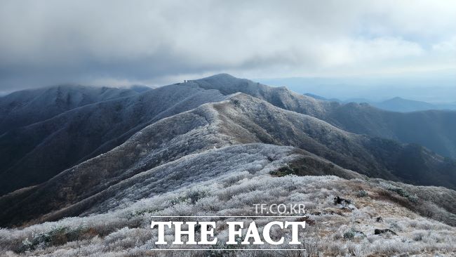 25일 기상청에 따르면 26일까지는 서쪽에서 한반도로 접근하는 저기압 영향으로 전국에 비가 오겠다. 지난해 11월7일 새벽 소백산에 첫눈이 내려 아름다운 설경을 연출하고 있다./소백산국립공원