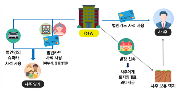 유명 플랫폼 업체의 회삿돈 사적 유용 개념도. /국세청