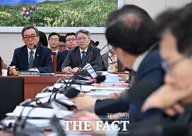 조 장관은 일본의 추도식 인사말에 진심이 담겨 있다고 보느냐는 윤상현 국민의힘 의원의 지적에 훨씬 기대 수준에 못 미쳤고 (진정성이 담겨있다고) 그렇게 보지 않았기 때문에 불참을 결정했다고 답했다. /배정한 기자