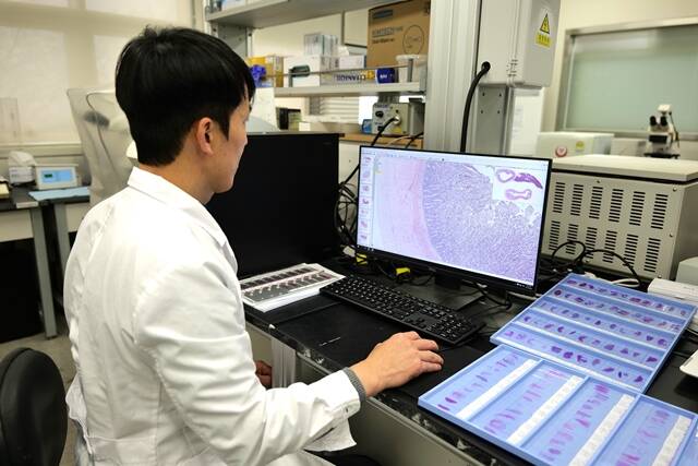 서울시보건환경연구원이 학대 피해 의심 동물에 대한 부검, 중독물질·감염병 검사 등 죽음의 원인을 파악하는 수의법의검사를 실시하고 있다. /서울시