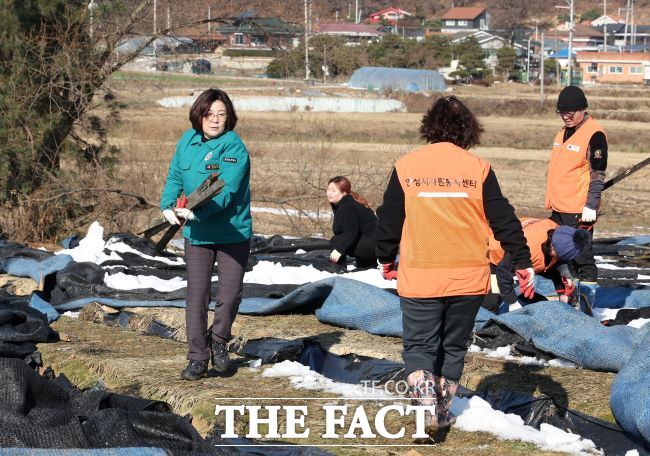 8일 김보라 안성시장이 폭설 피해 농가를 찾아 자원봉사자들과 함께 복구 활동을 하고 있다./안성시