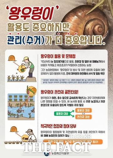 경기 파주시가 오는 27일까지 접수하는 ‘2025년 친환경 왕우렁이 지원사업’ 안내 포스터./파주시