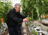  강호동 농협중앙회장, 토마토 재배 농가 현장 점검