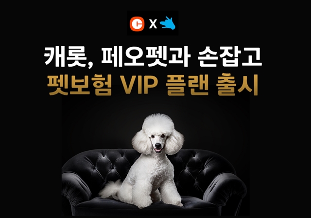 캐롯손해보험이 반려동물 구독 플랫폼 페오펫과 협력해 펫보험 VIP 플랜을 출시한다. /캐롯손해보험