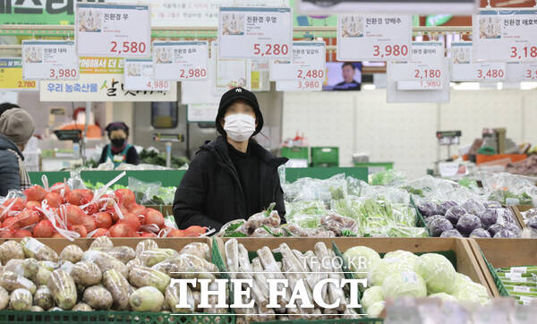 16일 서울 시내의 한 대형마트에서 한 소비자가 장을 보고 있다. /뉴시스