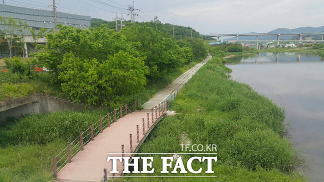 지난달 수변구역에서 해제된 용인시 포곡읍 일대./용인시