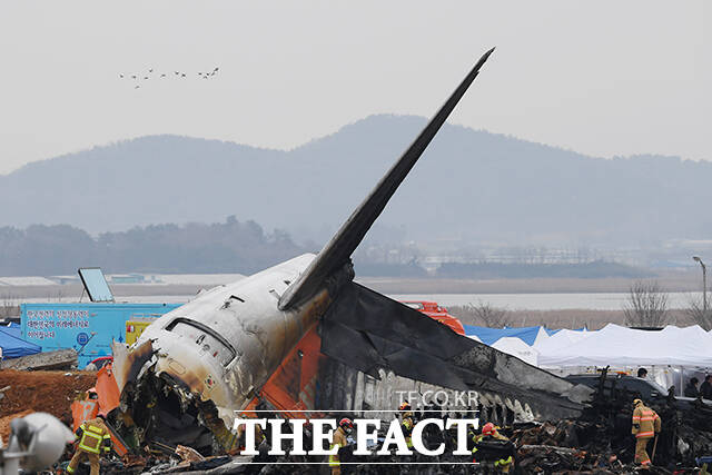 전남 무안국제공항에서 제주항공 여객기가 활주로를 이탈해 울타리 외벽과 충돌사고가 발생해 179명의 사망자가 발생했다. 서울시는 희생자 합동분향소를 오는 31일부터 내년 1월 4일까지 5일간 설치‧운영한다./장윤석 기자