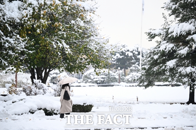 5일 서울과 인천, 경기, 강원 등에 대설주의보가 발효됐다. /박헌우 기자