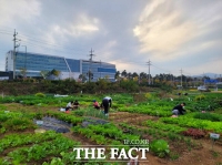  성남시, 시청 건너편 '실버텃밭' 무료 분양…1명당 12㎡