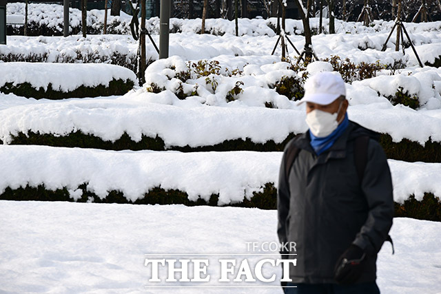 8일 충남권과 전라권을 중심으로 강하고 많은 눈이 내리겠다. 기온이 큰 폭으로 떨어지면서 바람도 강하게 불어 체감 온도는 더욱 낮아 매우 춥겠다. /남윤호 기자