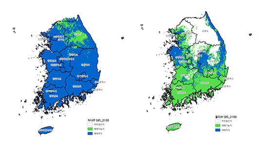 2090년대 녹차용 차나무(왼쪽)와 올리브 재배 지역./농촌진흥청