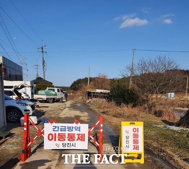 당진시는 10일 송산면 유곡리 종계농가에서 발생한 고병원성 AI에 대응해 긴급 살처분과 통제초소 설치 등 조치를 완료했다. /당진시