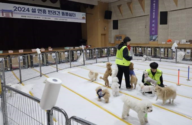 노원구는 지난 2018년 추석부터 운영 중인 반려견 돌봄쉼터를 올해 설에도 운영한다고 밝혔다. /노원구