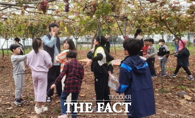 지원 대상은 각 사업 기준에 부합하는 농업인과 단체이다. 신청은 읍·면·동사무소에 방문해 접수하면 된다. 신청 후에는 담당 부서의 현지 실태조사와 농업 산학협동 심의회를 통해 최종 대상자를 선정한다. /정읍시